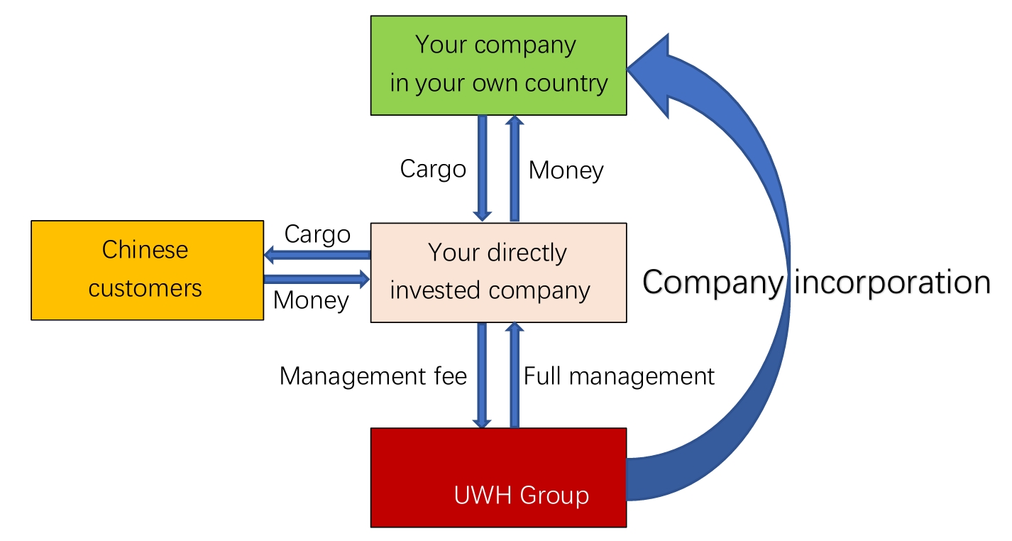 FDI Foreign Direct Investment Flow Chart